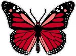 butterfly sticker RED color