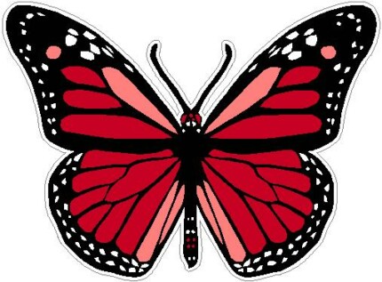 butterfly sticker RED color