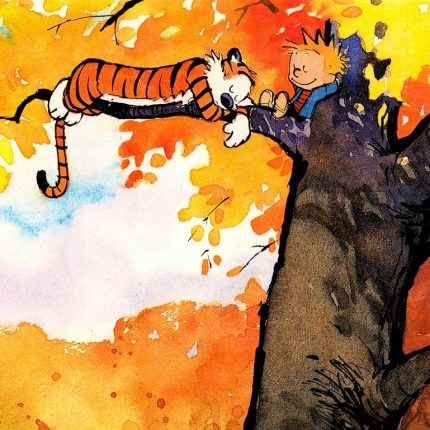 Calvin and Hobbes Rectangular Color Stickers 10