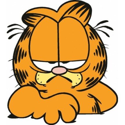 Cartoon Grumpy Garfield
