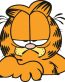 Cartoon Grumpy Garfield