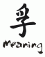 chinese - meaning