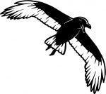 Crow Crows Animal Animals Vinyl Decal Sticker 02