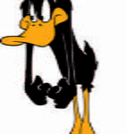 Daffy 11