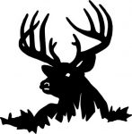 Deer Decal