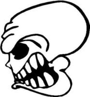 Die Cut Vinyl Skull Decal 3