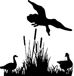 Duck Hunting Decal Sticker 35