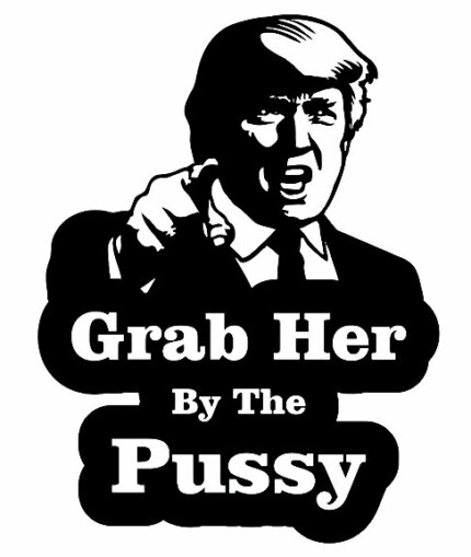 Grab-Her-By-The-Vinyl-Decal-Sticker-Trump-Funny-Anti-Hillary-Political-Dirty.jpg_640x640