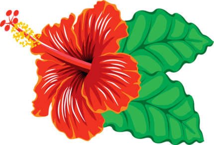 HAWAIIAN flower