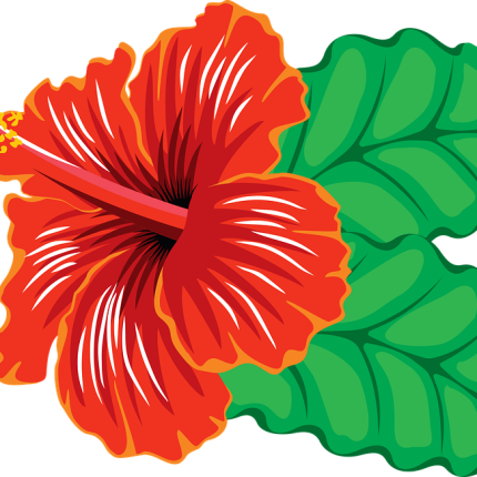 HAWAIIAN flower