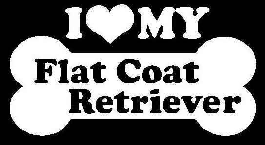 I Love My Flat Coat Retriever