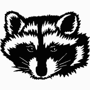 Racoon Face Decal