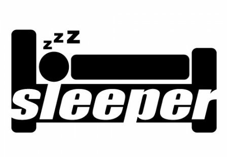 Sleeper Funny Vinyl Car Decal