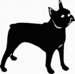 Boston Terrier Dog Decal - 15D