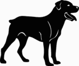 15U Rottweiler Dog Decal