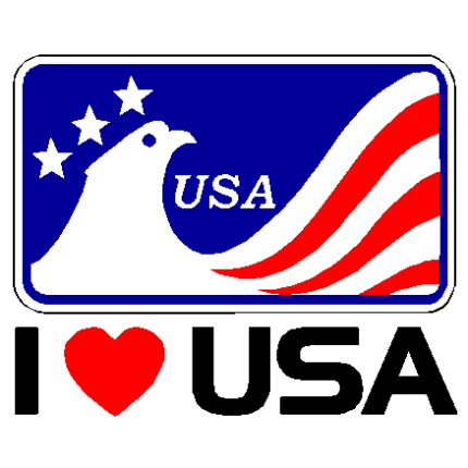 I love USA eagle - 391