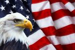 American-Flag-and-bald-eagle STICKER 4