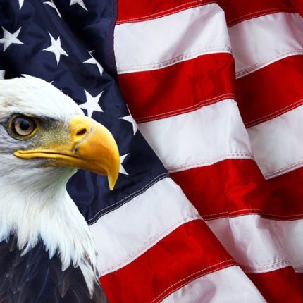 American-Flag-and-bald-eagle STICKER 4