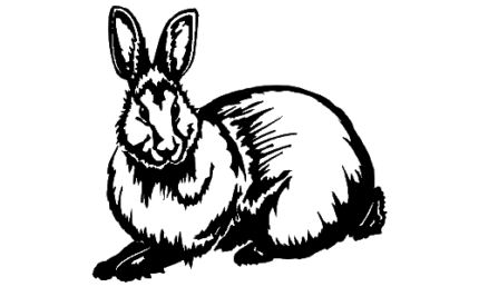 075 Rabbit Sticker