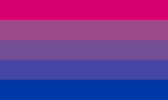 biflux pride flag