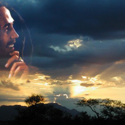 Bob Marley Color Band Sticker
