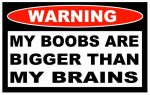Boobs Bigger Brains Funny Warning Sticker
