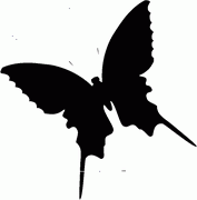 Butterfly Decal 5