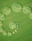 Crop Circles Adhesive Wall Decals 07