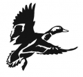 DUCK FLY HIGH DECAL 3