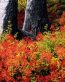 Fall Colors Adhesive Wall Graphics 45