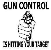 Gun Control is Hitting Your Target Diecut Vinyl Decal Sticker 1