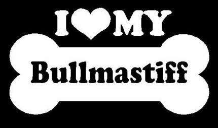 I Love My Bullmastiff
