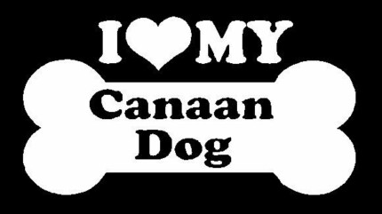 I Love My Canaan Dog
