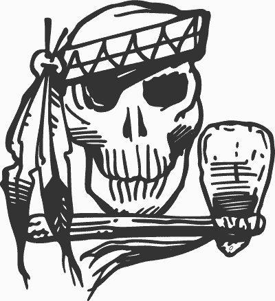Indian Skull Decal 1