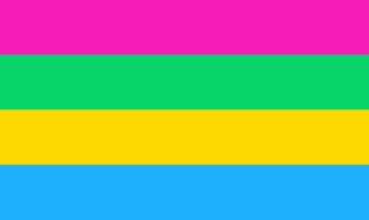 poly pan pride flag