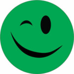 smile wink green sticker