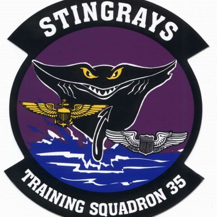 Stingrays Navy Logo