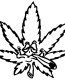 Stoned Weed Leaf Sticker
