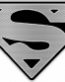 Shield CARBON FIBER Silver