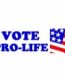 Vote pro Life Bumper Sticker