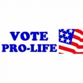 Vote pro Life Bumper Sticker