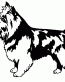 035 Australian Terrier Decal
