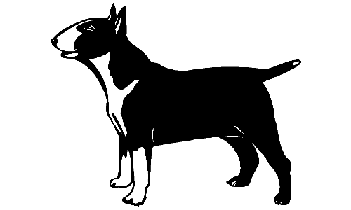 042 Bull Terrier Decal