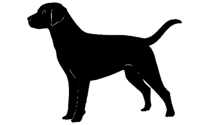048 Labrador Decal