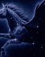 Fairies and Fantasy Wall Graphics 159