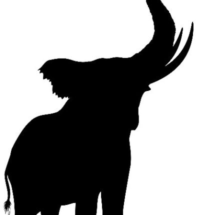 African Animal Decal 07