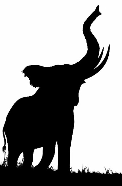 African Animal Decal 07