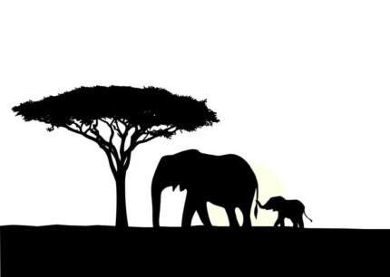 African Animal Decal 08