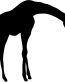 African Animal Decal 33