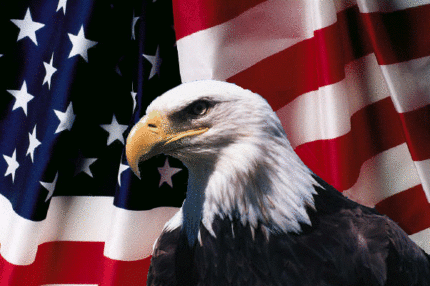 American USA Flag With Eagle 2